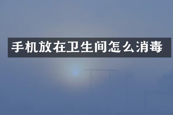 手机放在卫生间怎么消毒