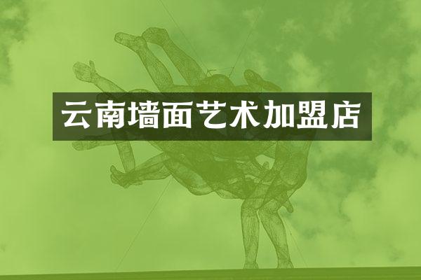 云南墙面艺术加盟店