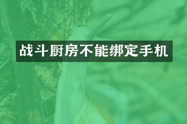 战斗厨房不能绑定手机