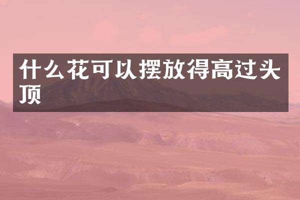 什么花可以摆放得高过头顶