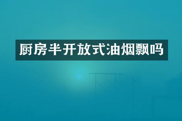 厨房半开放式油烟飘吗