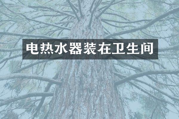 电热水器装在卫生间