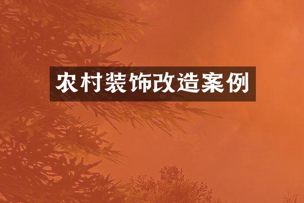 农村装饰改造案例