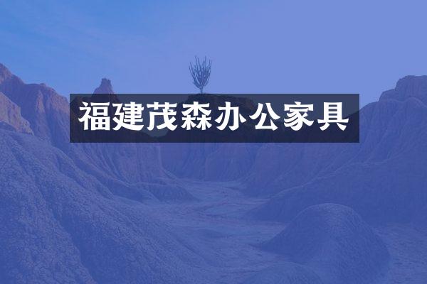 福建茂森办公家具