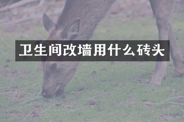 卫生间改墙用什么砖头