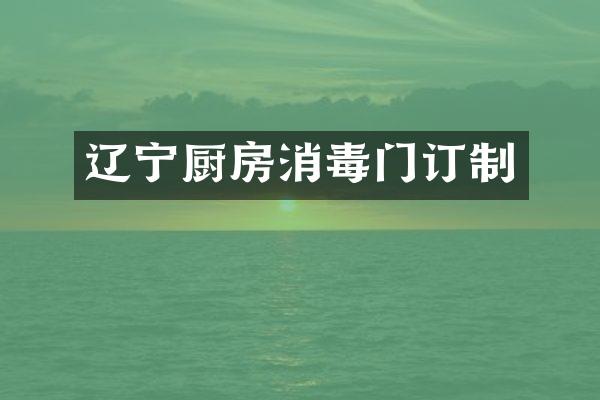 辽宁厨房消毒门订制