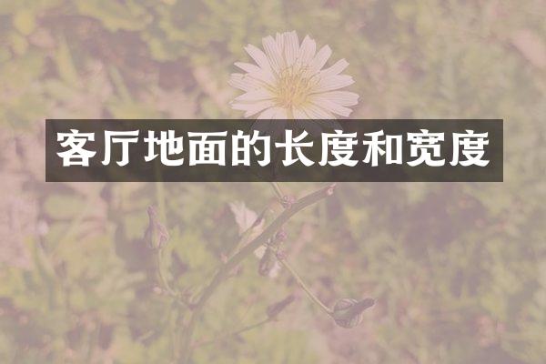 客厅地面的长度和宽度