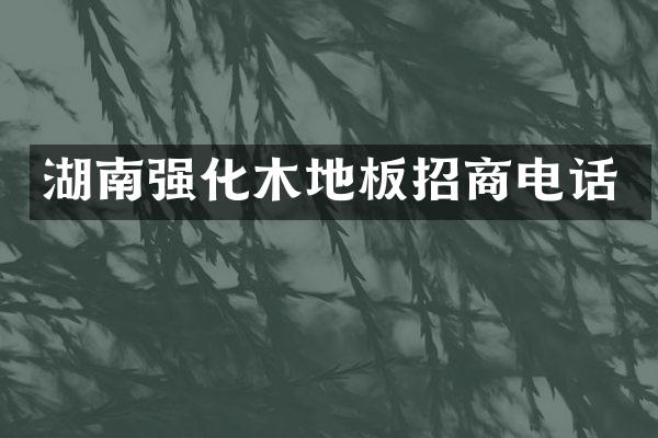 湖南强化木地板招商电话