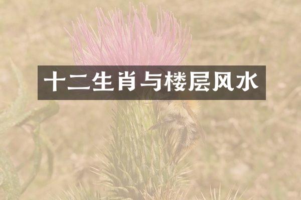 十二生肖与楼层风水