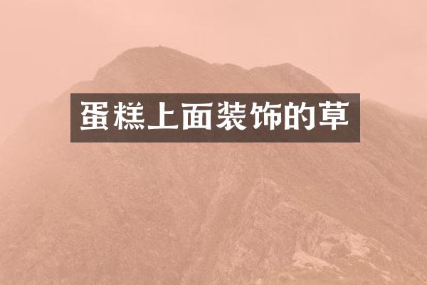 蛋糕上面装饰的草