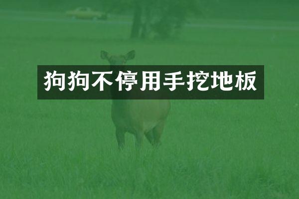 狗狗不停用手挖地板