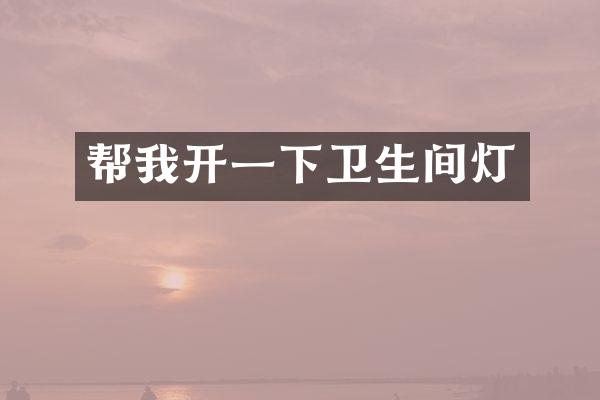 帮我开一下卫生间灯