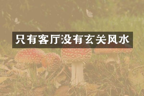 只有客厅没有玄关风水