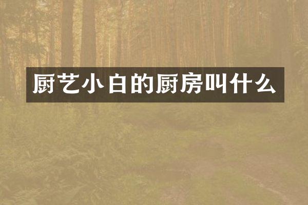 厨艺小白的厨房叫什么