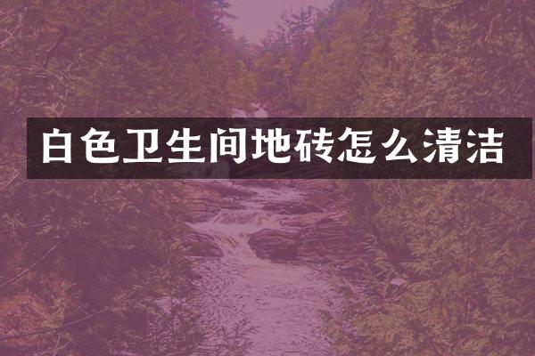 白色卫生间地砖怎么清洁