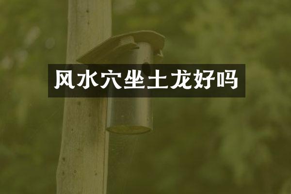 风水穴坐土龙好吗