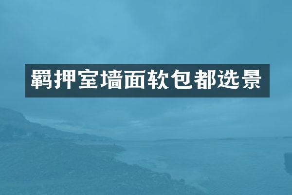 羁押室墙面软包都选景
