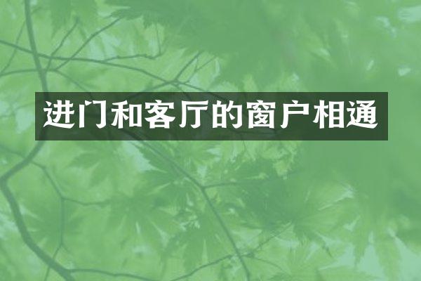 进门和客厅的窗户相通
