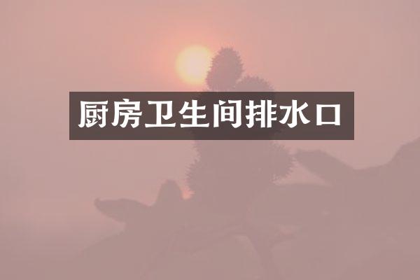 厨房卫生间排水口