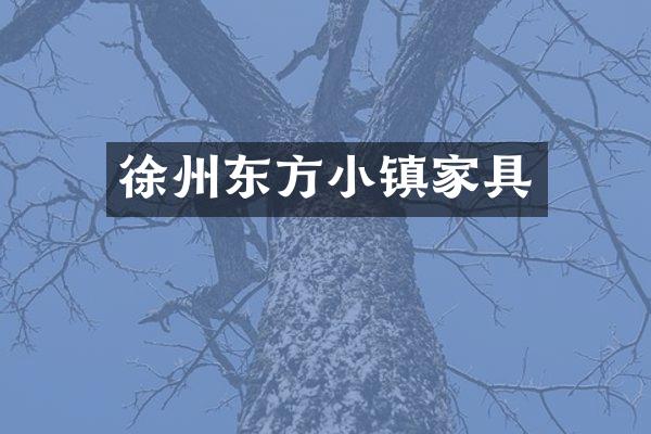 徐州东方小镇家具