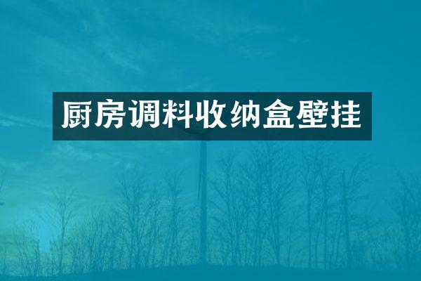 厨房调料收纳盒壁挂