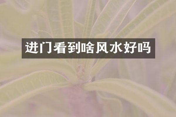 进门看到啥风水好吗
