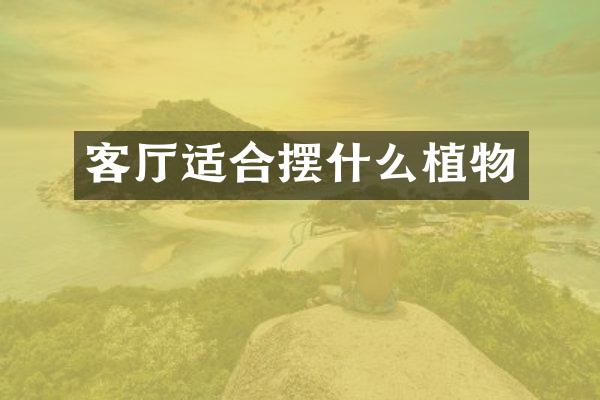客厅适合摆什么植物