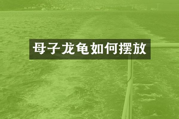 母子龙龟如何摆放