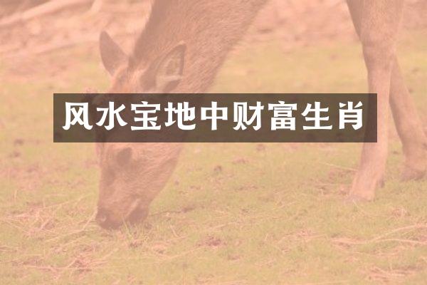 风水宝地中财富生肖