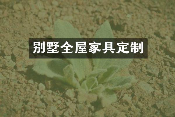 别墅全屋家具定制
