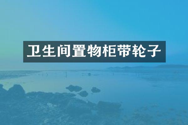 卫生间置物柜带轮子