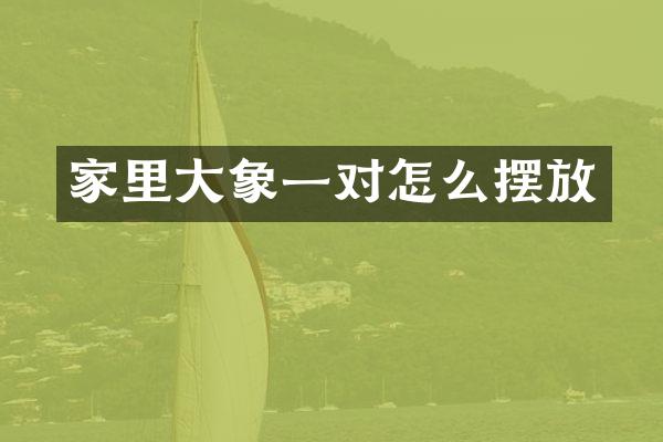 家里大象一对怎么摆放