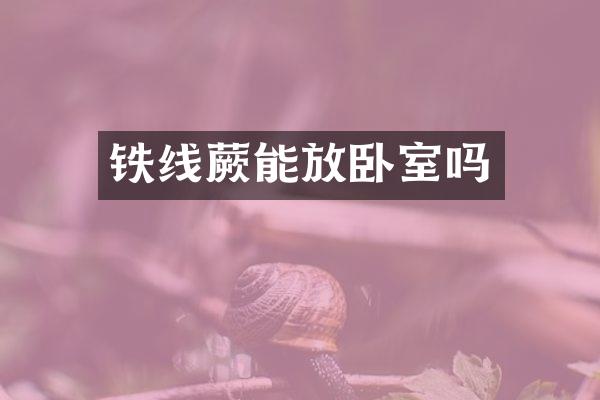 铁线蕨能放卧室吗