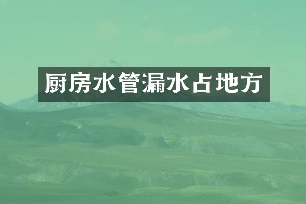 厨房水管漏水占地方