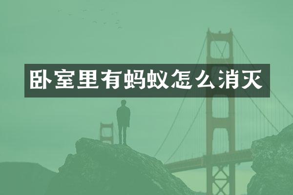 卧室里有蚂蚁怎么消灭