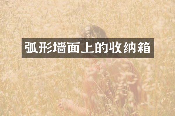 弧形墙面上的收纳箱