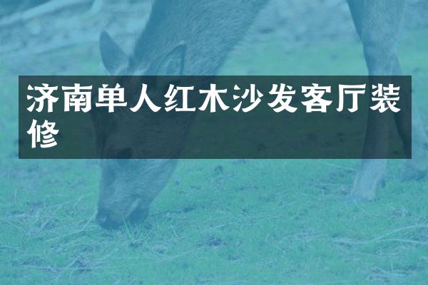 济南单人红木沙发客厅装修