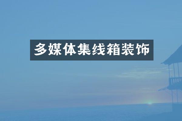 多媒体集线箱装饰