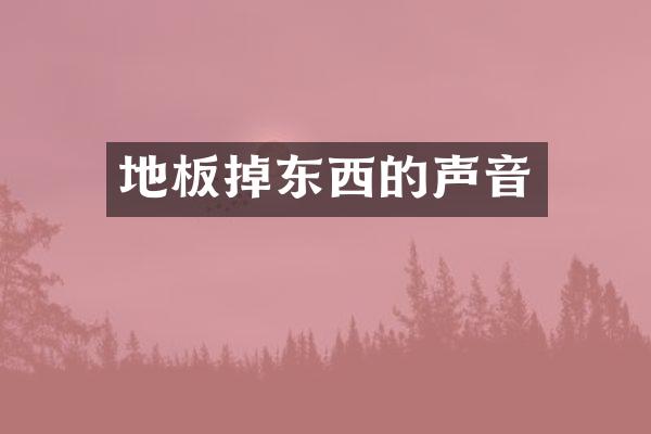 地板掉东西的声音