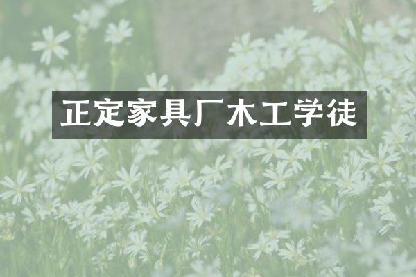 正定家具厂木工学徒