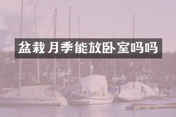 盆栽月季能放卧室吗吗