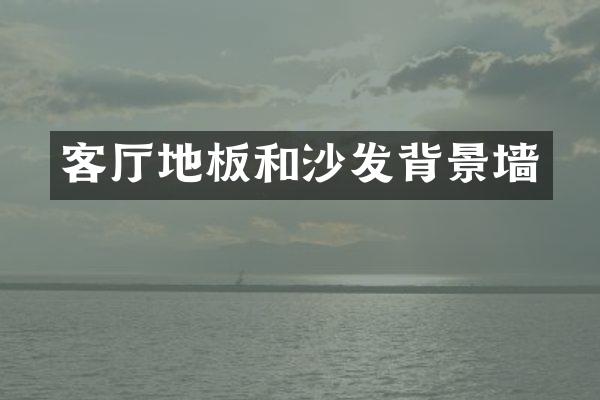 客厅地板和沙发背景墙