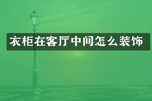 衣柜在客厅中间怎么装饰