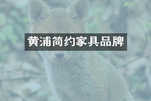 黄浦简约家具品牌