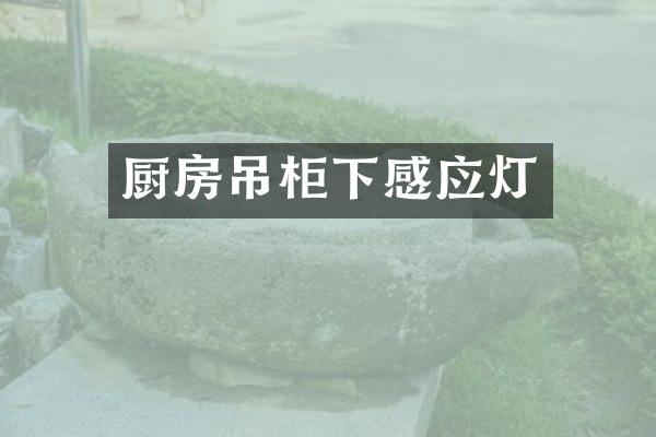厨房吊柜下感应灯