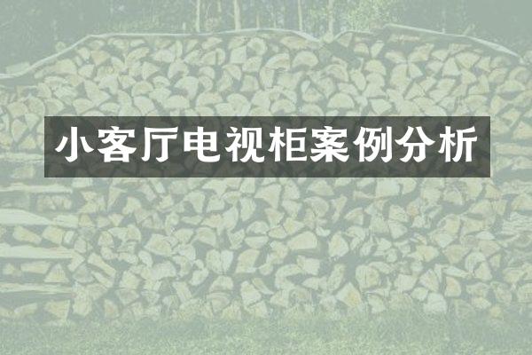 小客厅电视柜案例分析