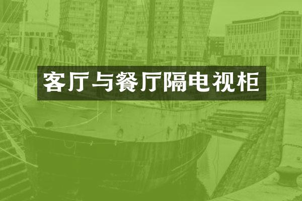 客厅与餐厅隔电视柜