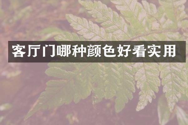客厅门哪种颜色好看实用