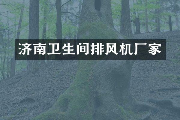 济南卫生间排风机厂家