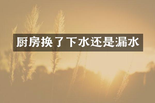 厨房换了下水还是漏水